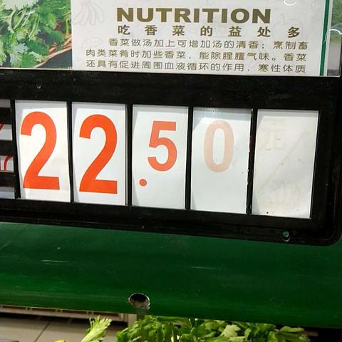 寿光今日筒筒及生猪价格行情分析,市场波动需关注动态信息