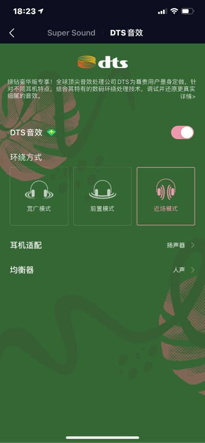 dts版本,精细评估说明|动态版_v6.567