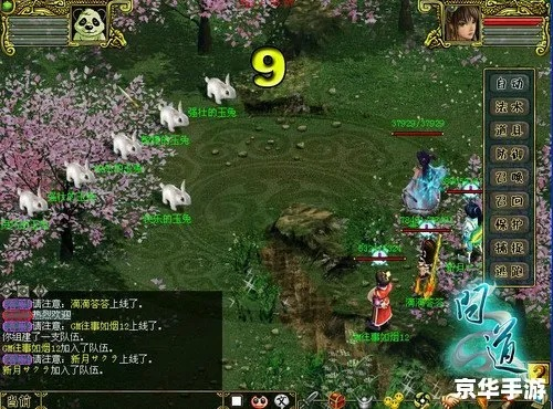 电脑版网游问道单机版跟择遇官方下载实践说明解析挑战版_v5.274，专业级工具深度解析