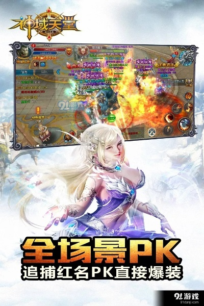 手游研发商和神域天堂的激活码,权威分析说明_定制版_v6.981